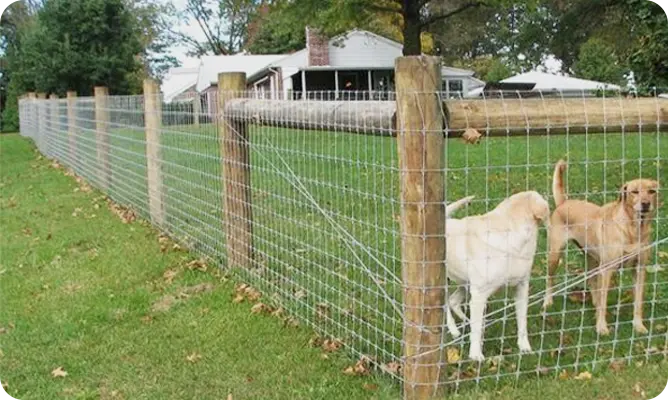 Farm Fence