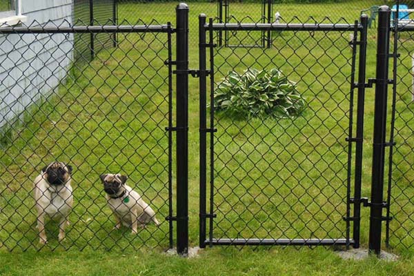 chain gate fence