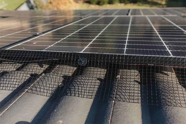 Wire Mesh Around Solar Panels