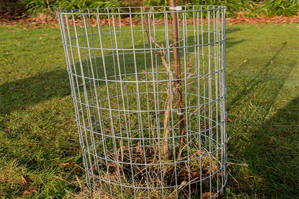 farm animal fence