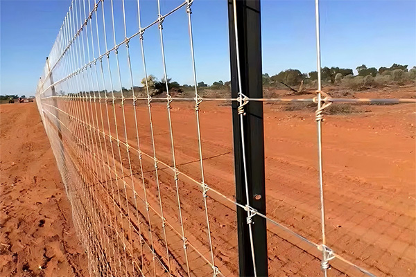 fence for field