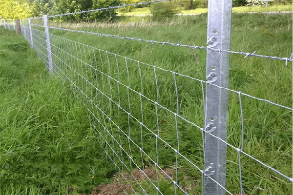 fence in a field