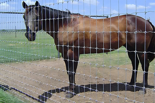 field wire fence