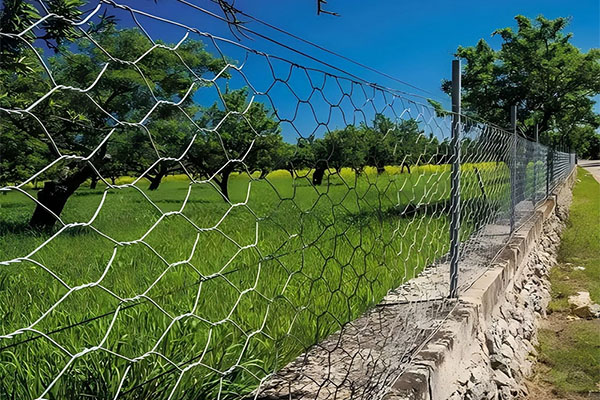 wire fence farm