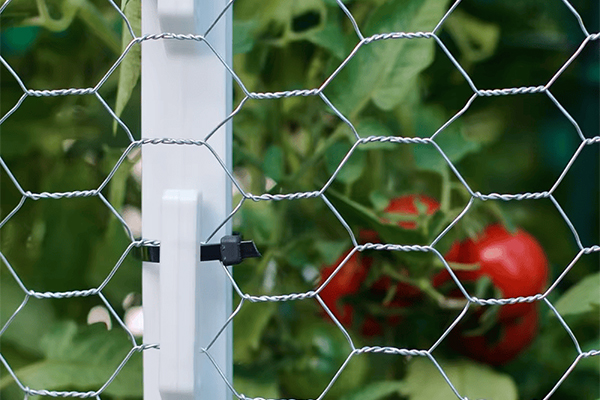 wire for fence in farm