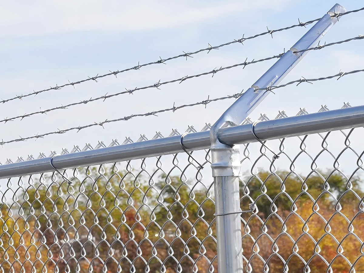 razor wire on fence